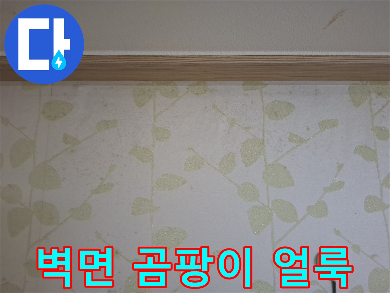 습기가 스며든 벽지 표면의 곰팡이 흔적
