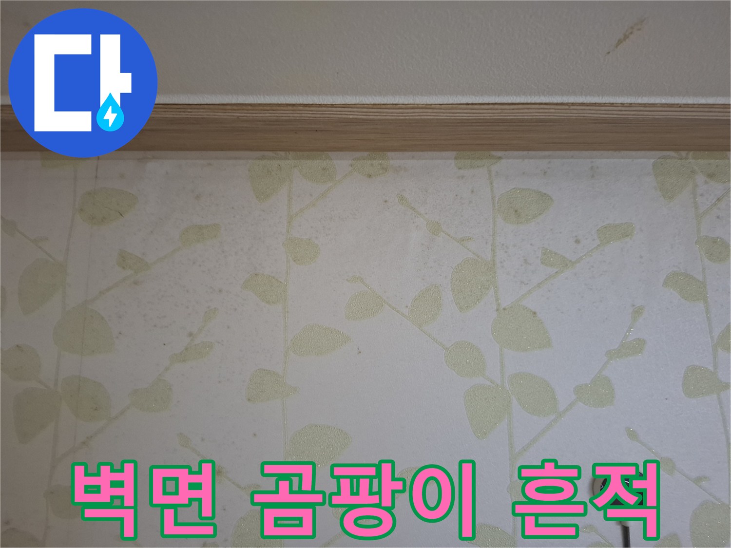 습기로-인한-벽지-변색-및-오염