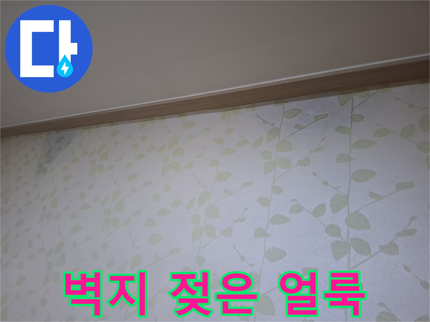 천장 몰딩 아래 벽지가 젖어 있는 모습