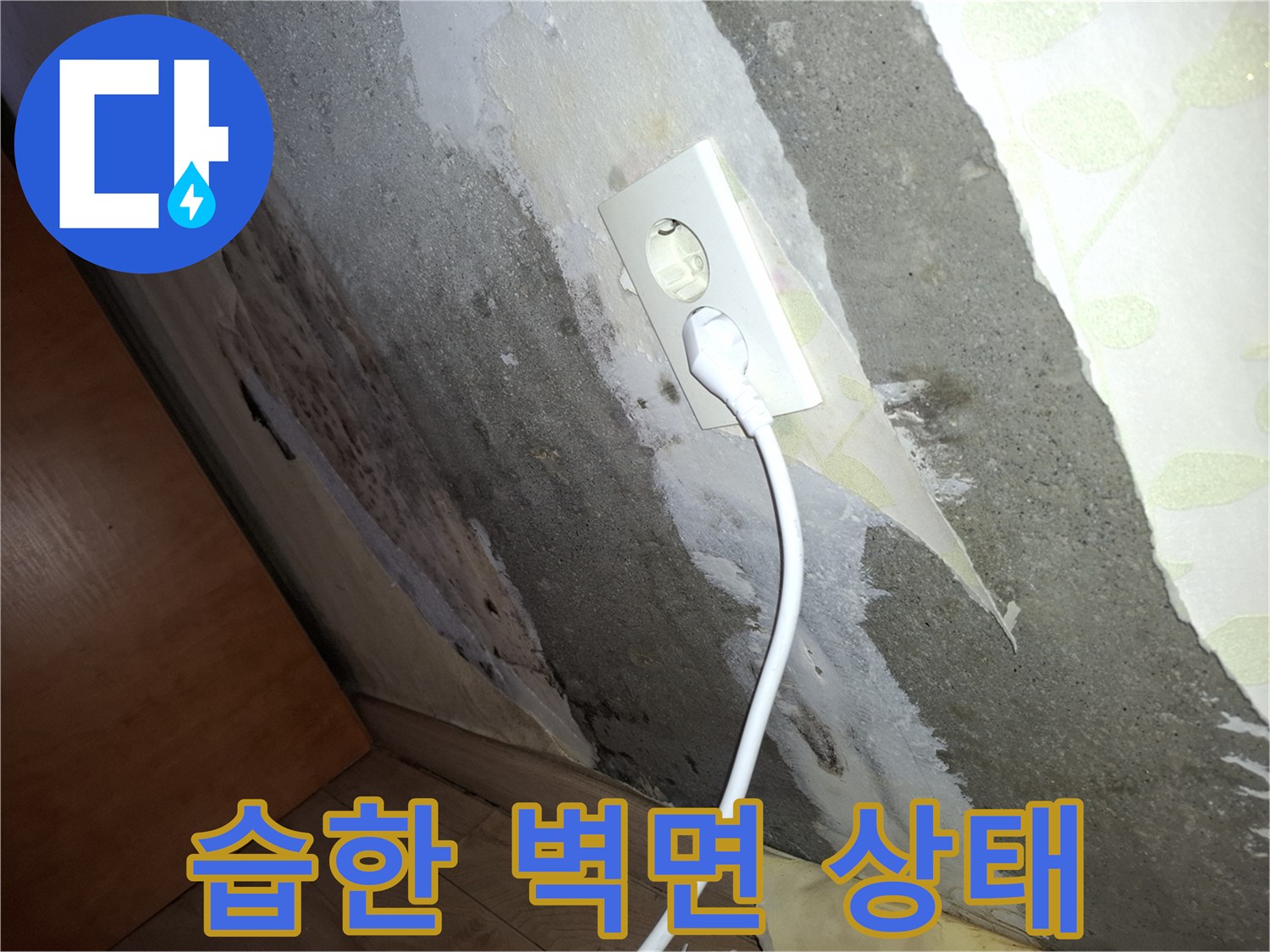 콘센트-박스-인근의-축축한-벽체-모습