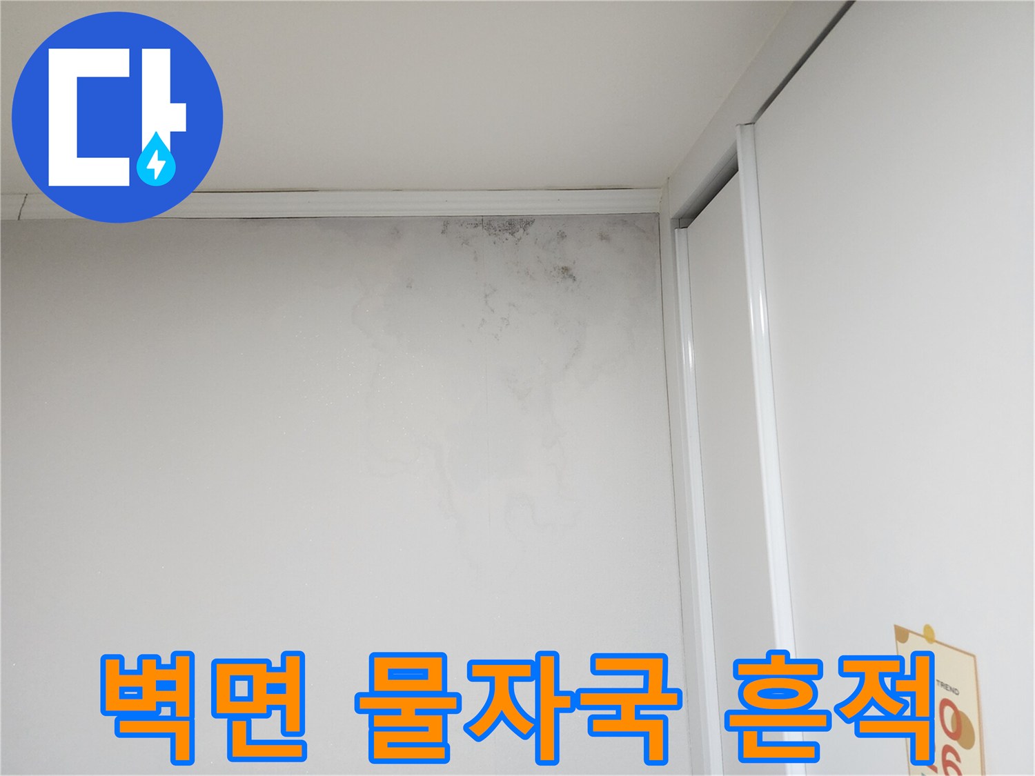 벽 상단의 검은 곰팡이와 습기 얼룩