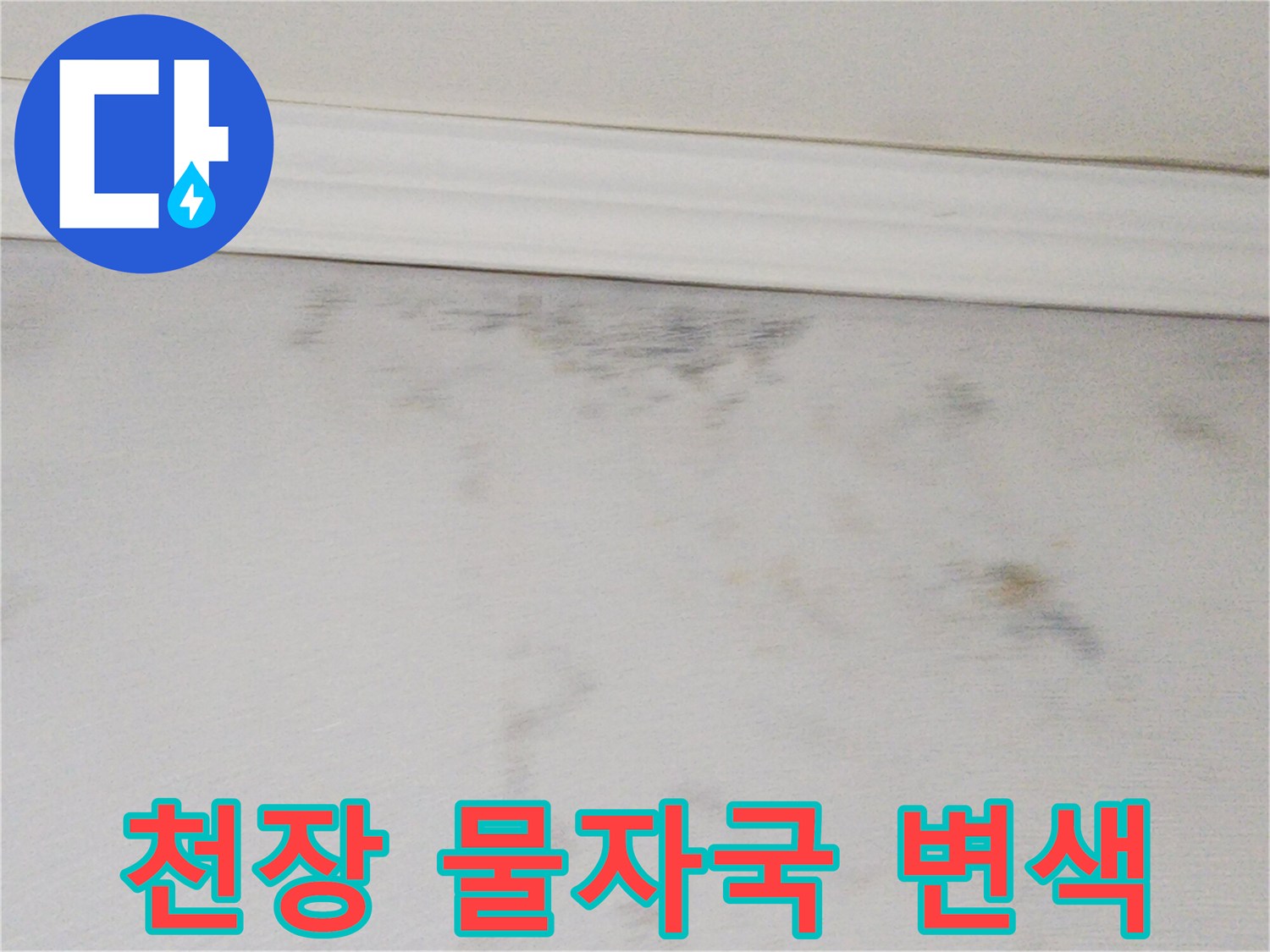 천장-몰딩-하단부의-축축한-변색-영역