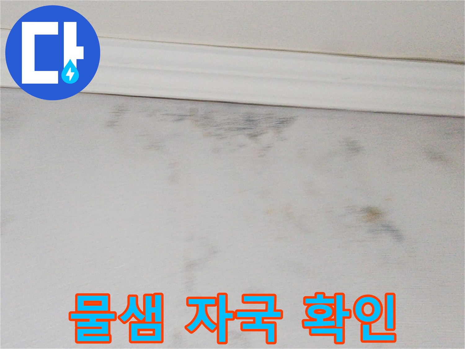 축축하게-젖은-천장-벽면의-얼룩