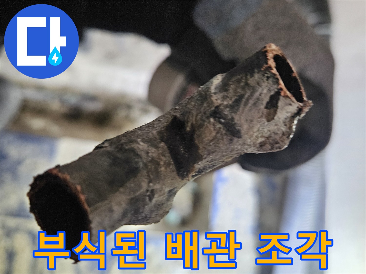 심하게-부식되어-삭아버린-배con-단면