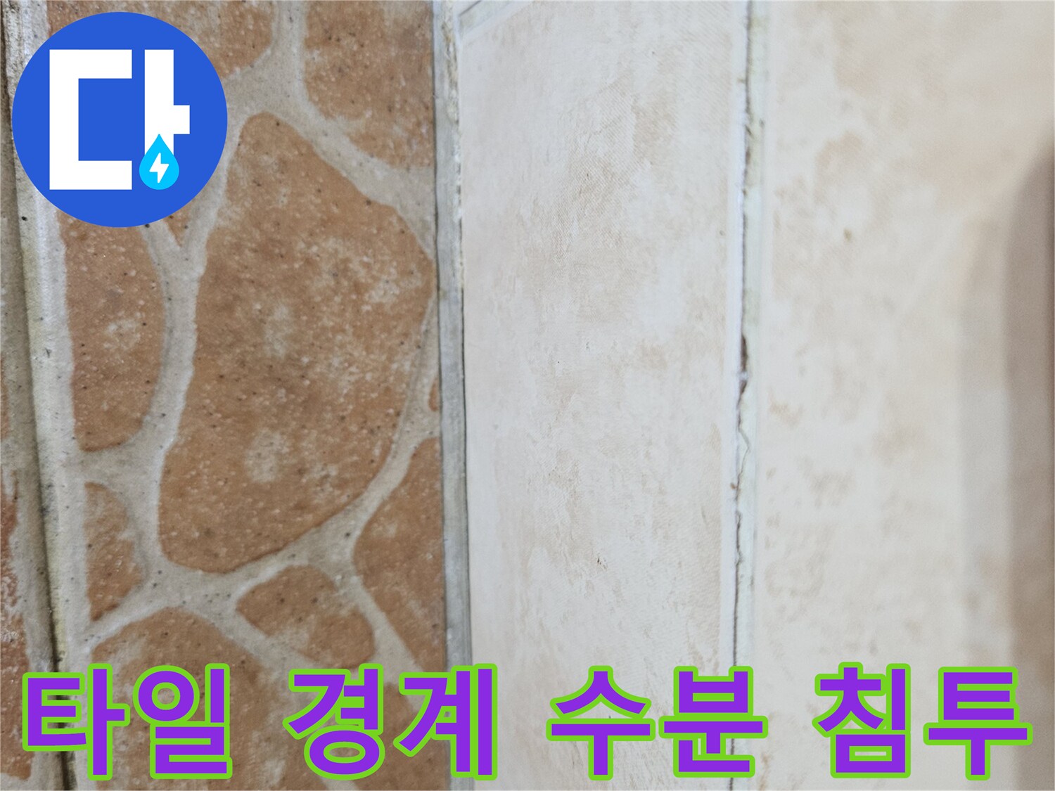 물샘으로 인해 축축해진 타일 사이 공간