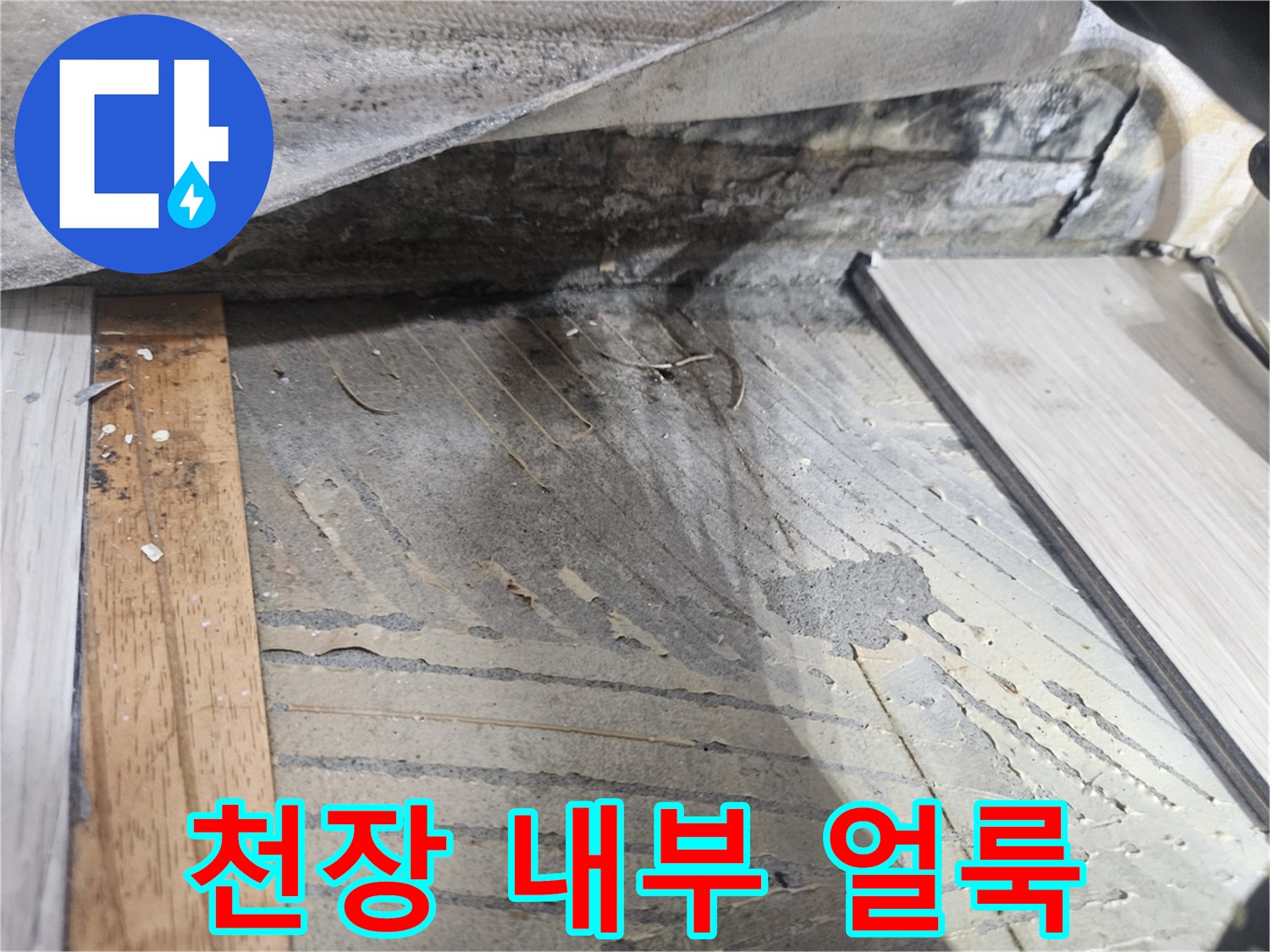 누수로 인해 변색된 천장 목재 구조물 상세