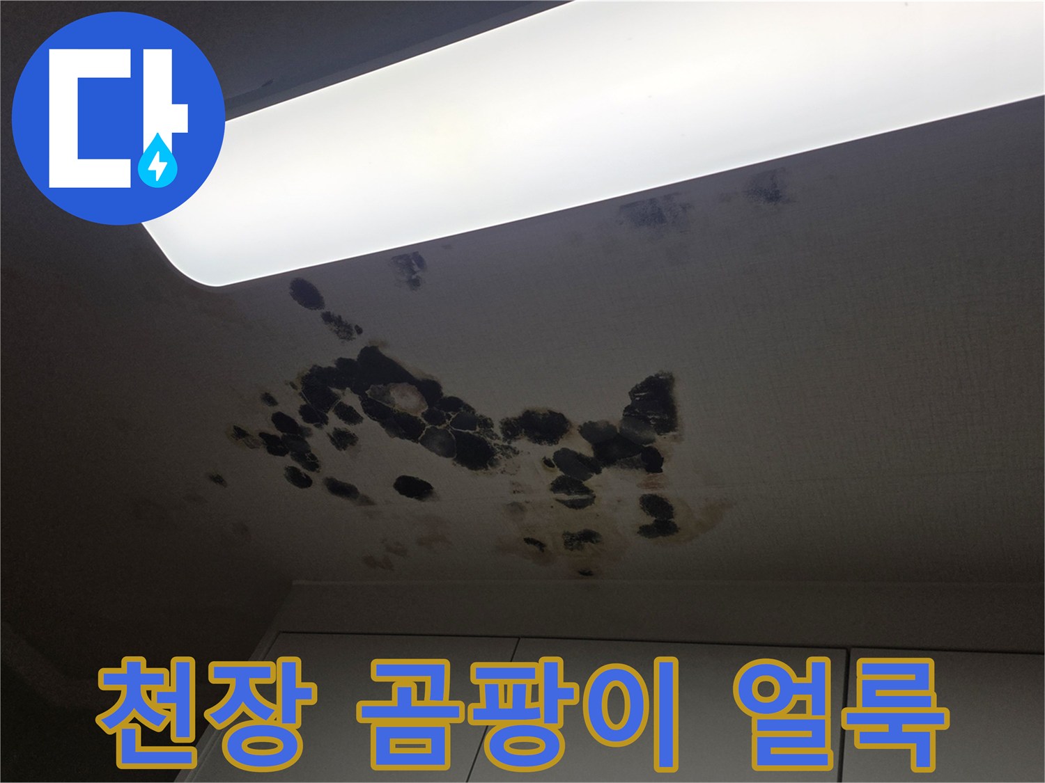 천장-마감재-부위에-번진-습기-및-곰팡이