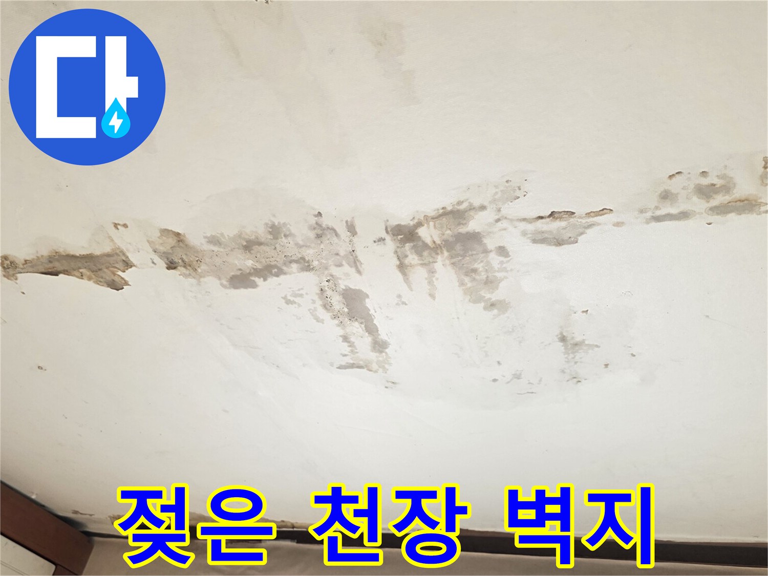 천장 벽지가 물에 젖어 변색된 모습