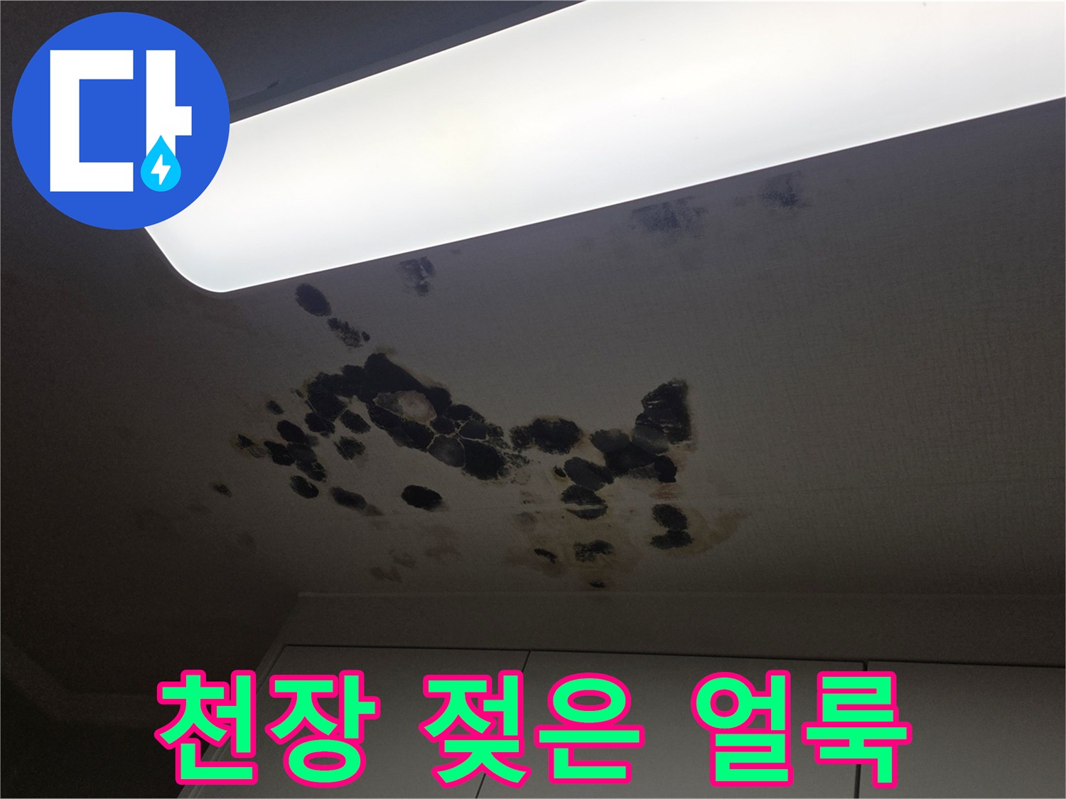 축축하게-젖어있는-천장-마감재-부위