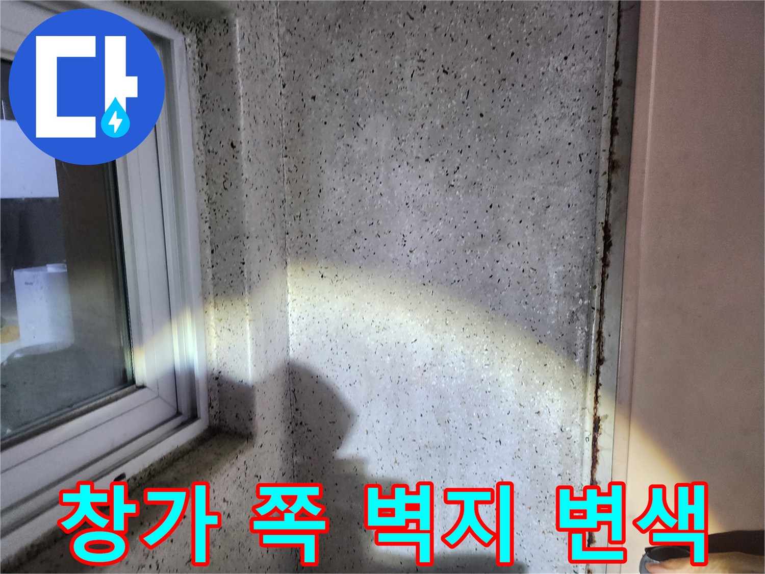 벽면 구석의 습기 및 얼룩 관찰