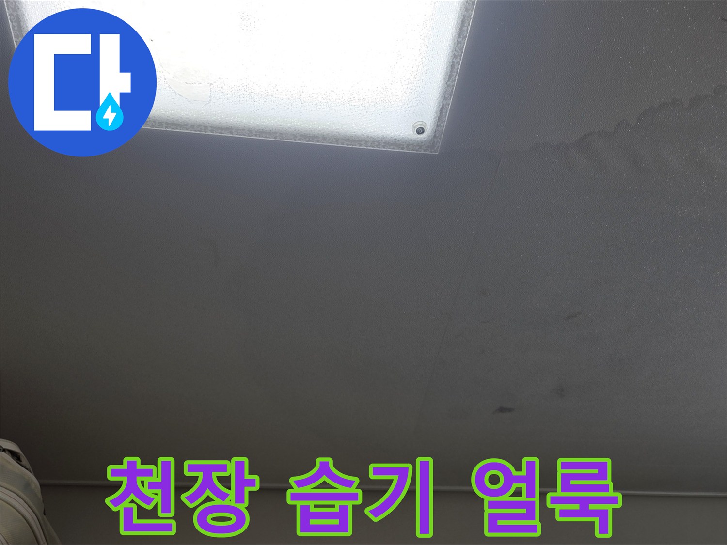천장 중앙부 조명 주변의 젖은 흔적과 물자국