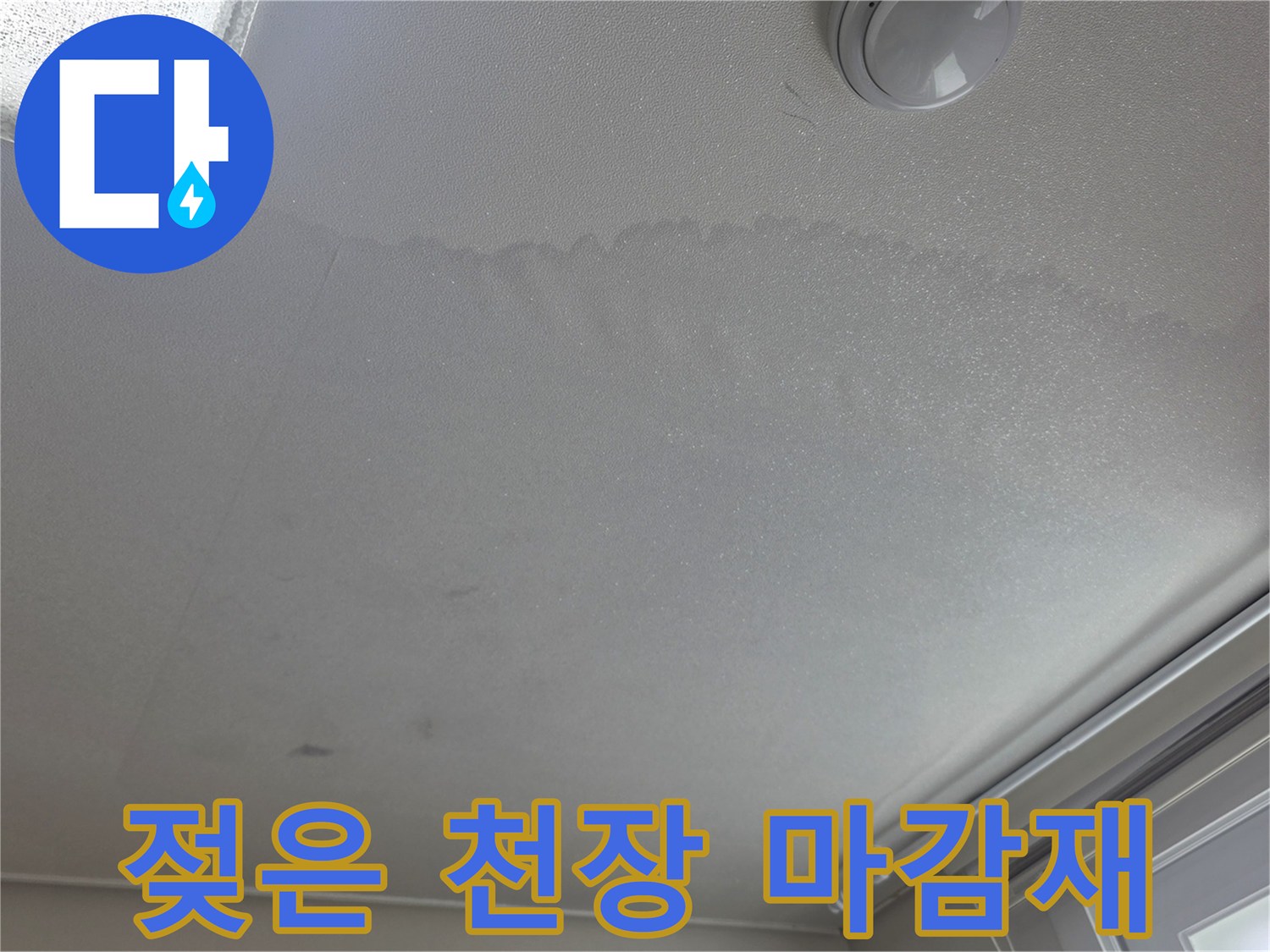 천장에 발생한-광범위한 물자국 현상