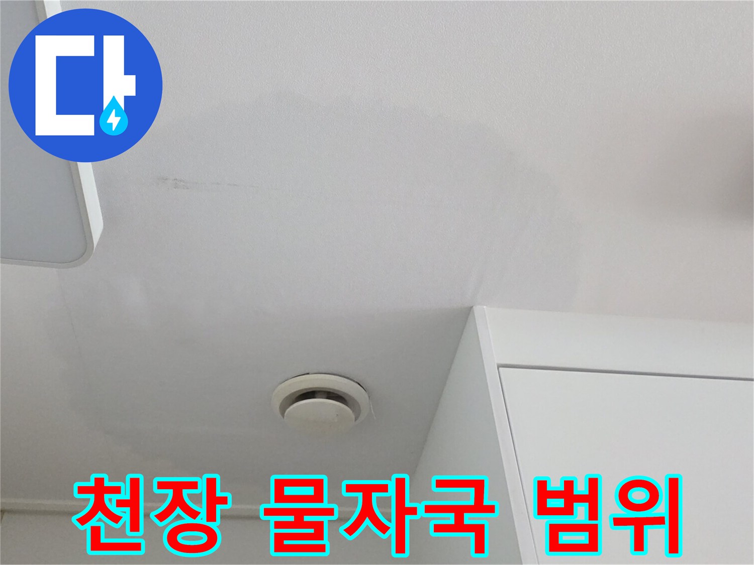 천장 중앙부에 나타난 젖은 얼룩 부위