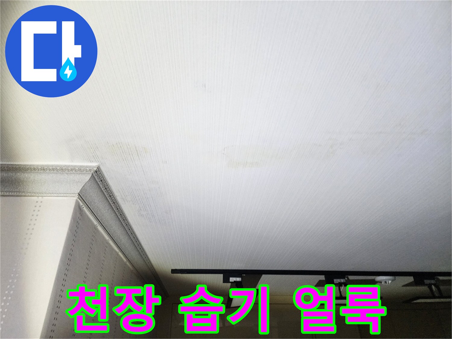 축축하게 젖어 있는 거실 천장 부분의 모습