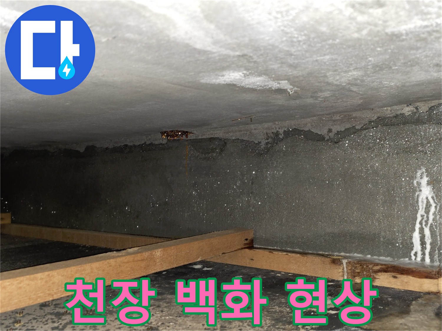 물기가-스며든-천장-콘크리트-표면-상태