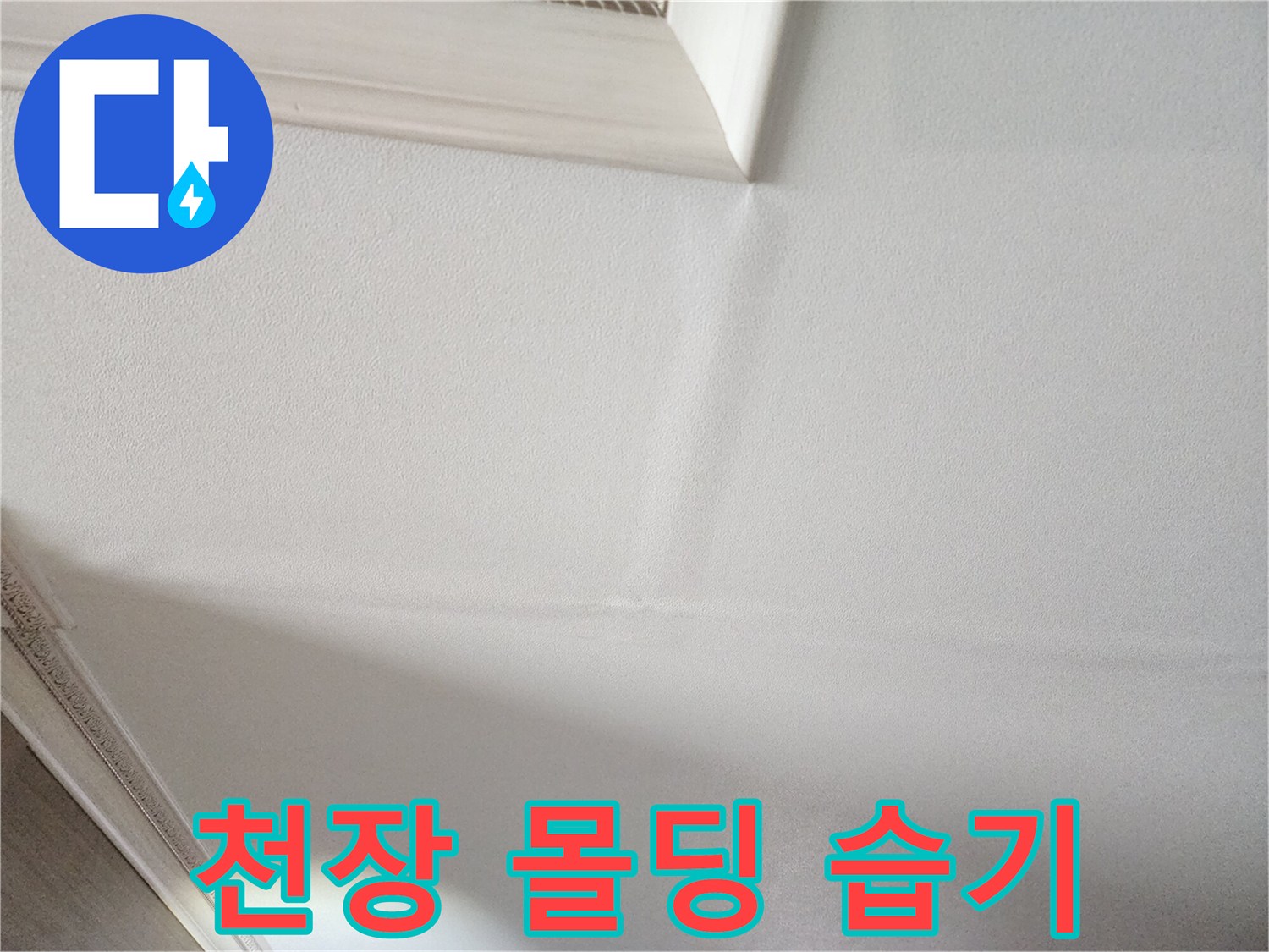 천장-몰딩-주변-벽지-젖음-상태