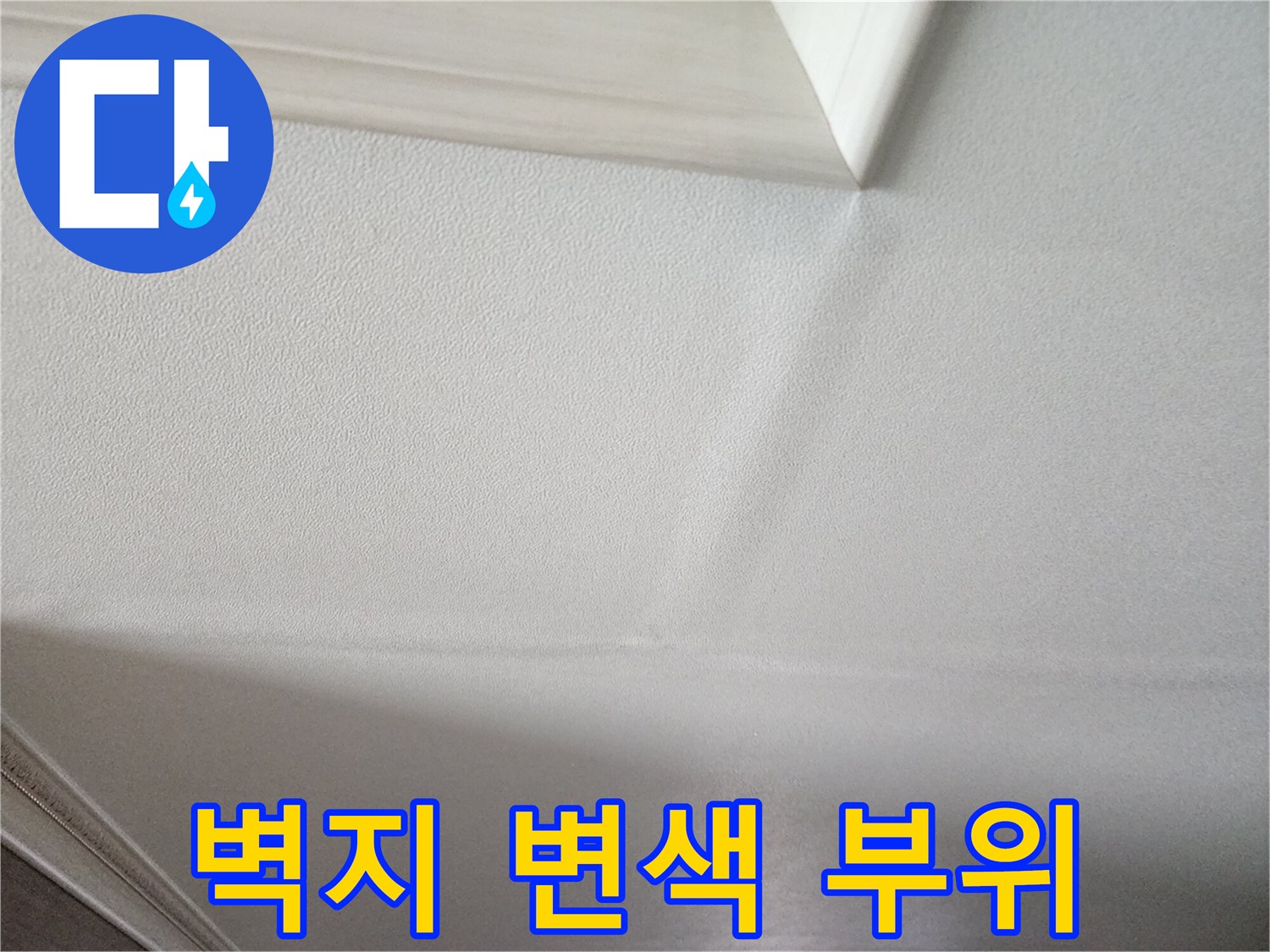 천장 벽지가 눅눅하게 변색된 모습