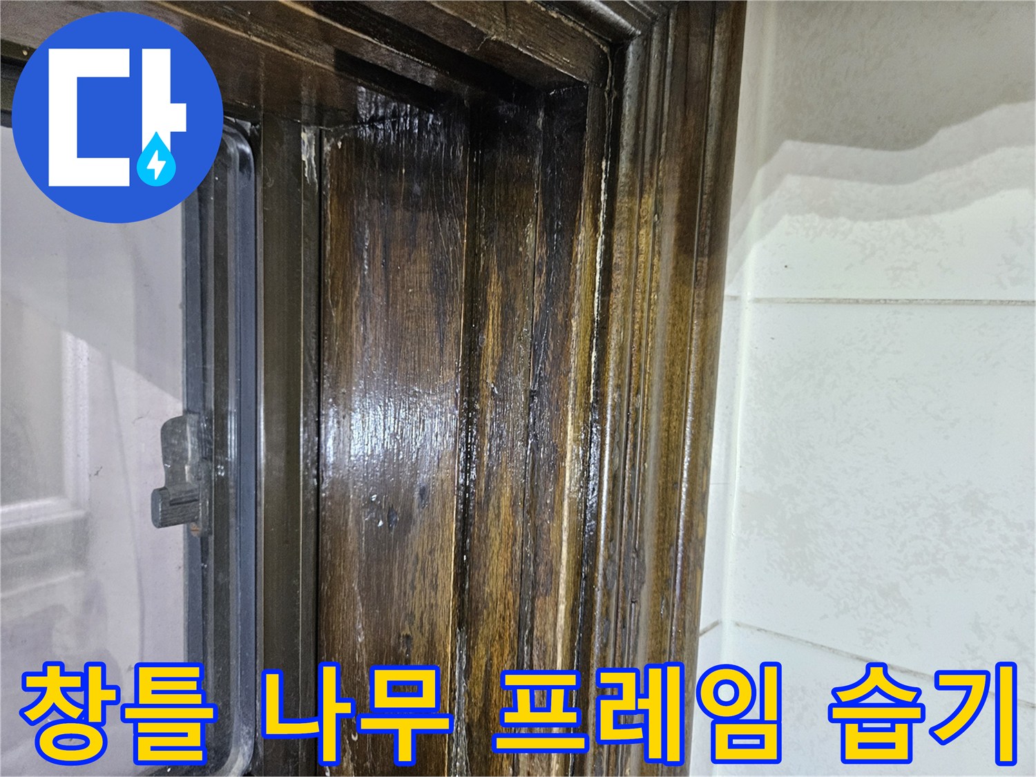 가락본동 현장-물기에 젖은 창문 나무 프레임