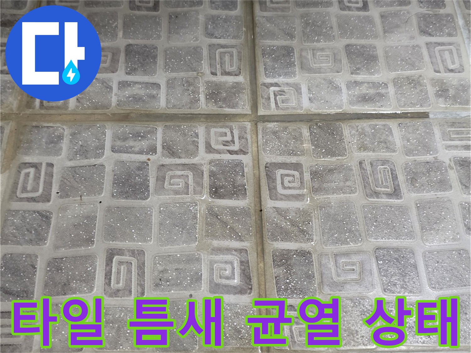 욕실-바닥-타일-사이-균열-조사