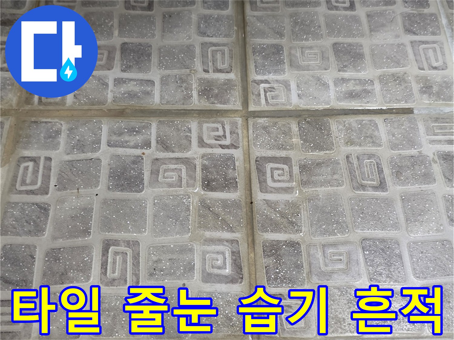 축축하게-젖은-화장실-타일-사이-메지