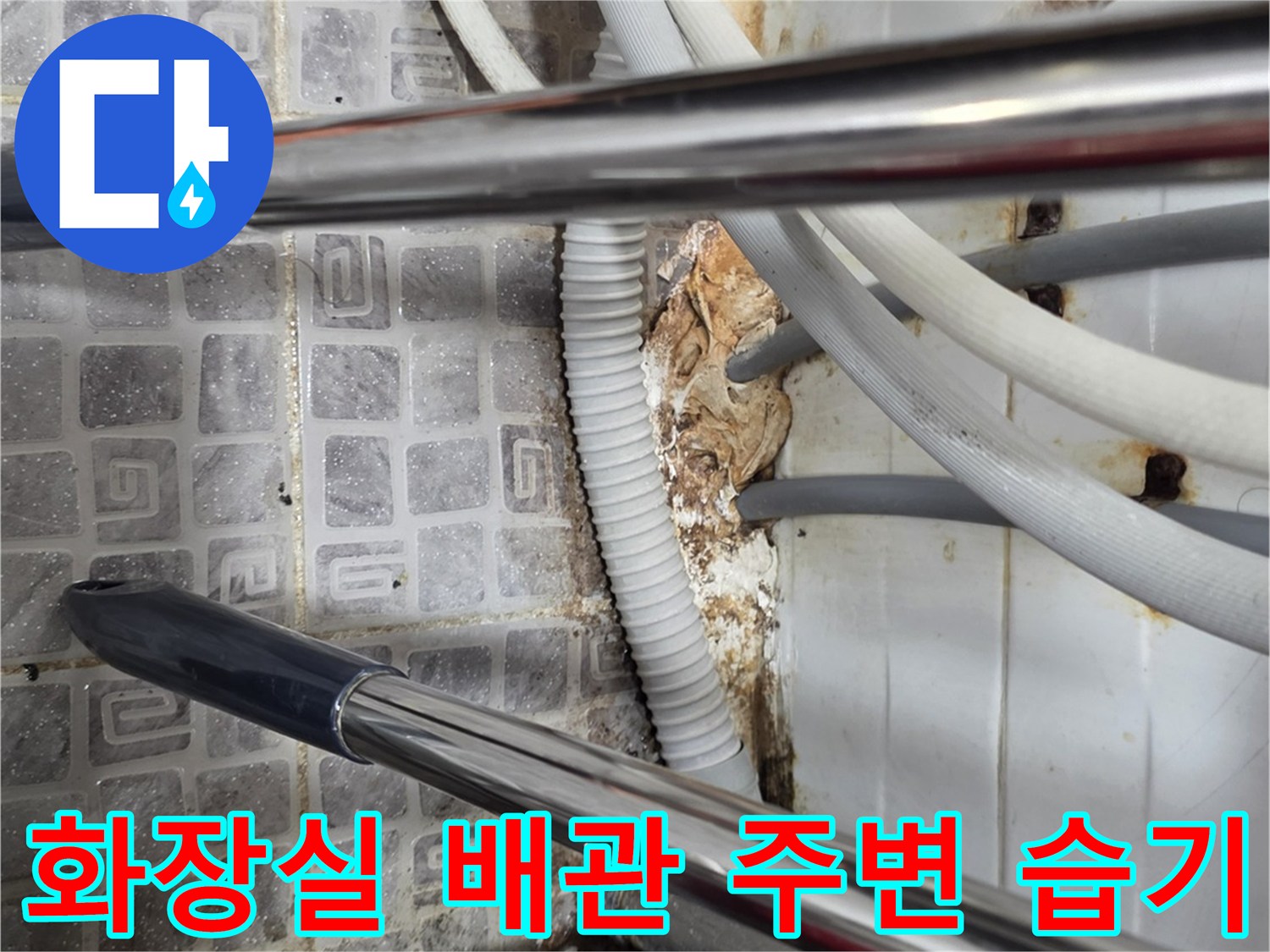 화장실-타일-하부-배관-주변-습기-상태