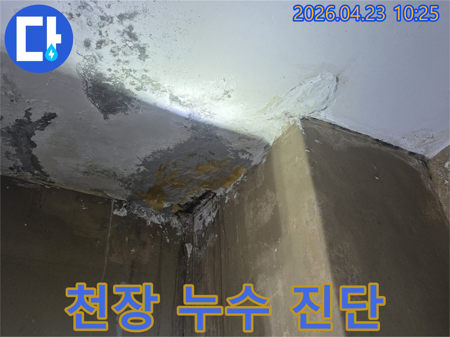천장-누수-현장-정확한-진단을-위해-촬영된-사진