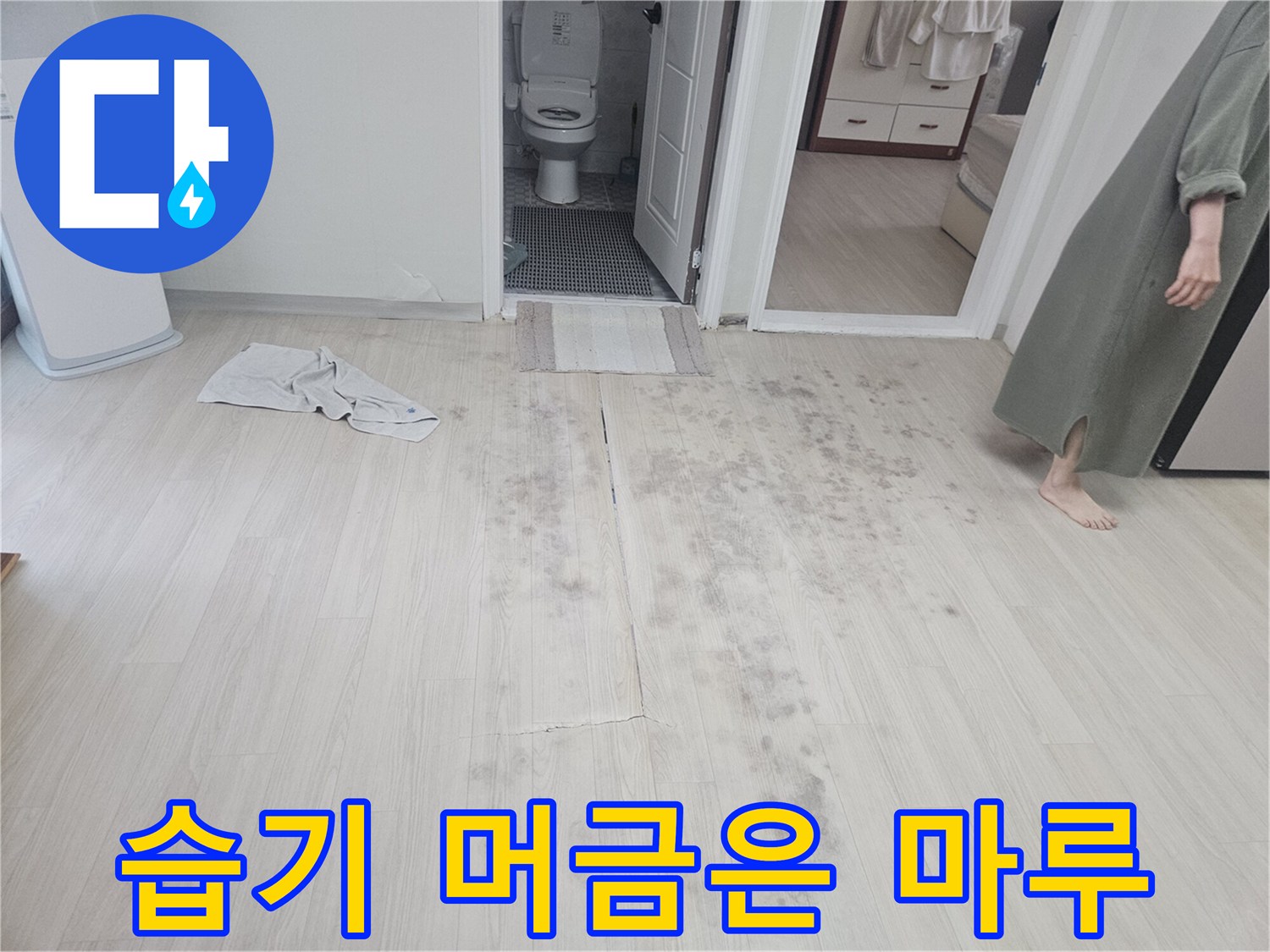 거실 바닥-넓게 퍼진 습기와 얼룩 부위