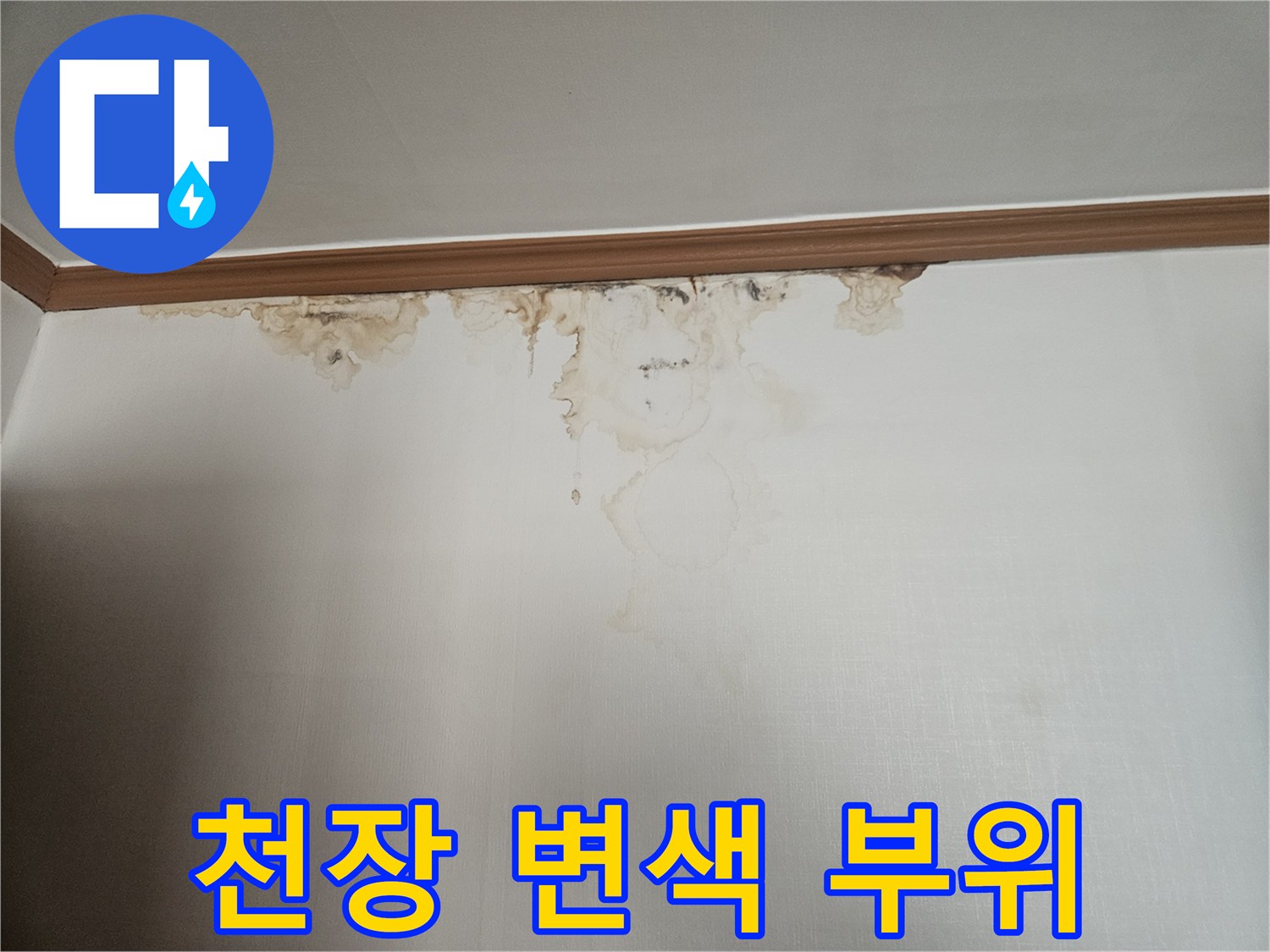 천장-몰딩-라인을-따라-발생한-누수-얼룩