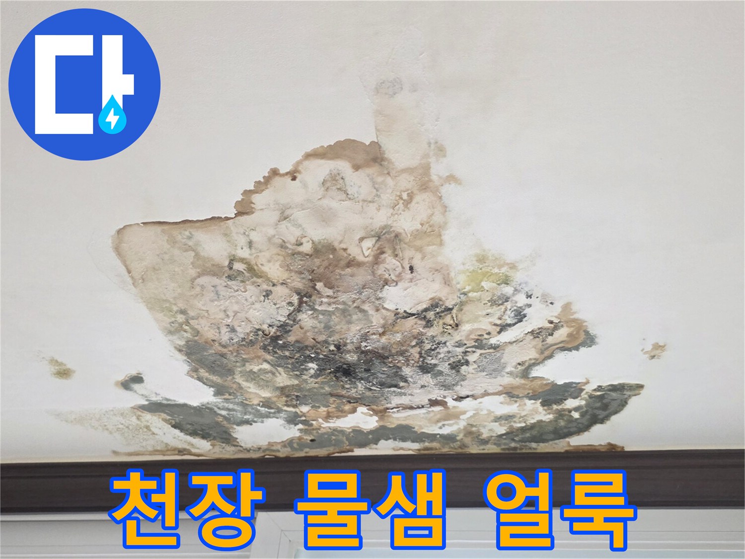 미추로 내부-천장 곰팡이 및 물샘 흔적