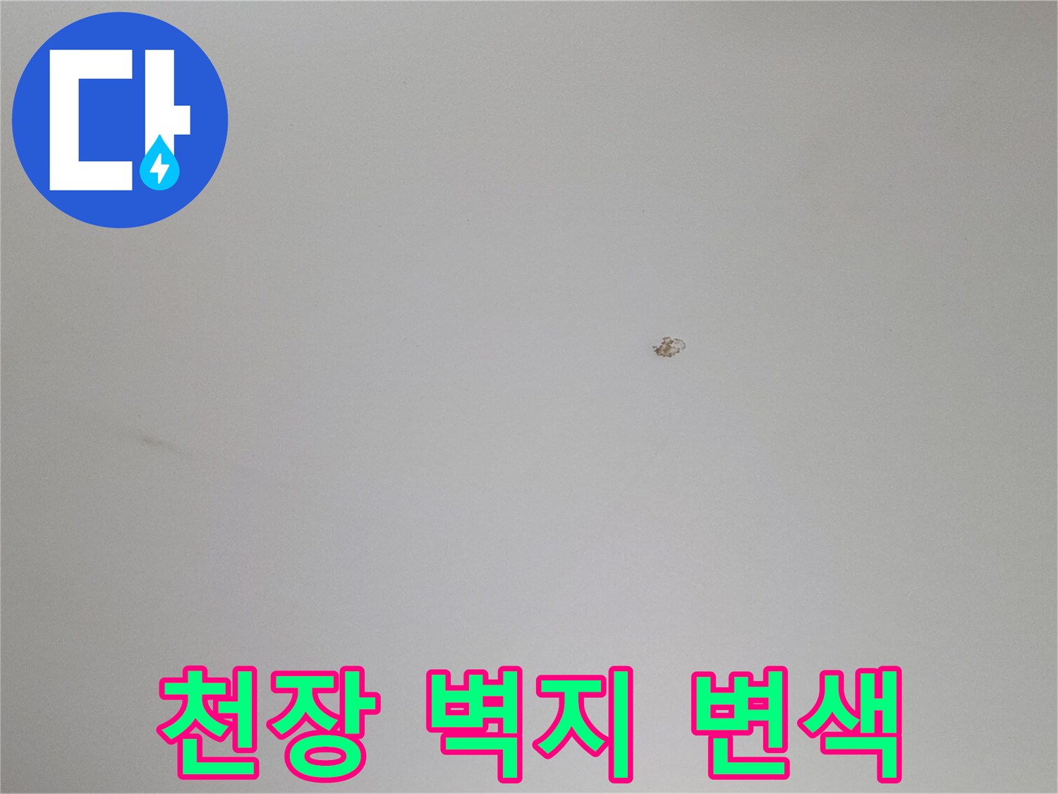 하얀색-천장-벽지-중앙에-발생한-작은-변색-부위