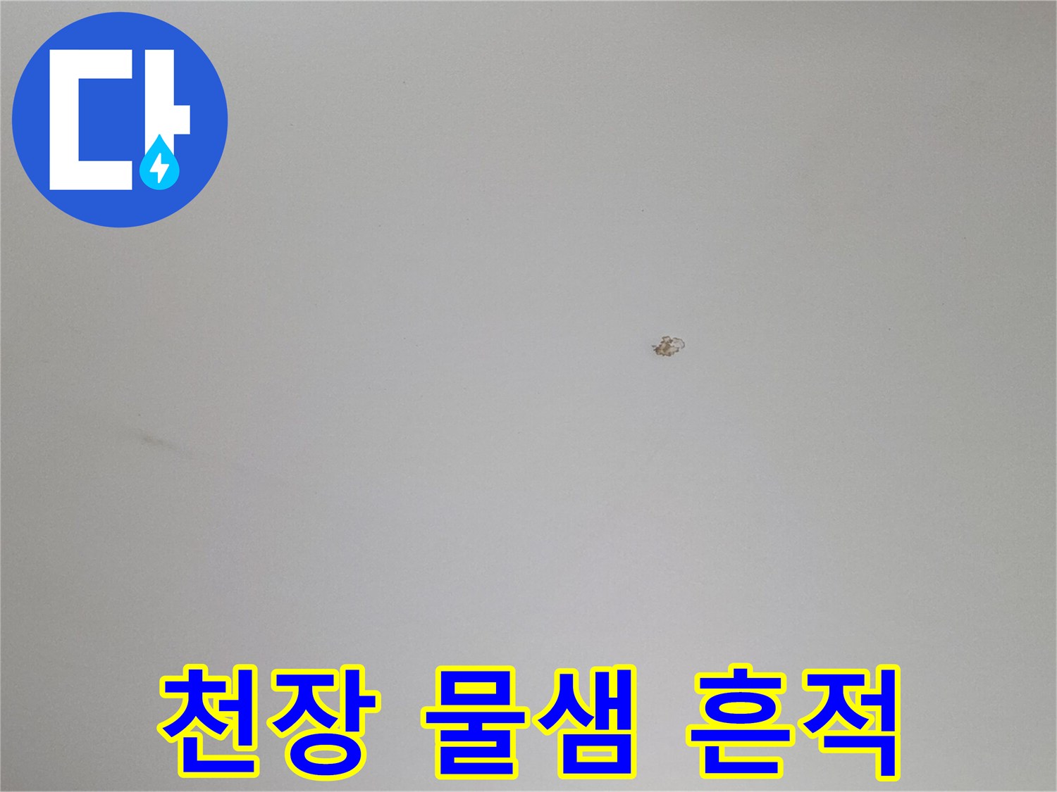 흰색 천장에 나타난 작은 누수 얼룩