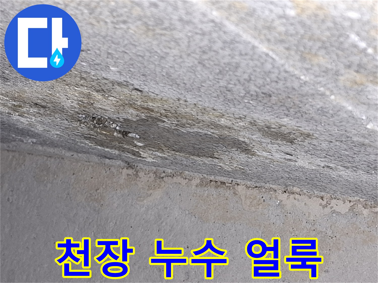 파주 교하 현장의 화장실 천장 슬래브 누수 흔적
