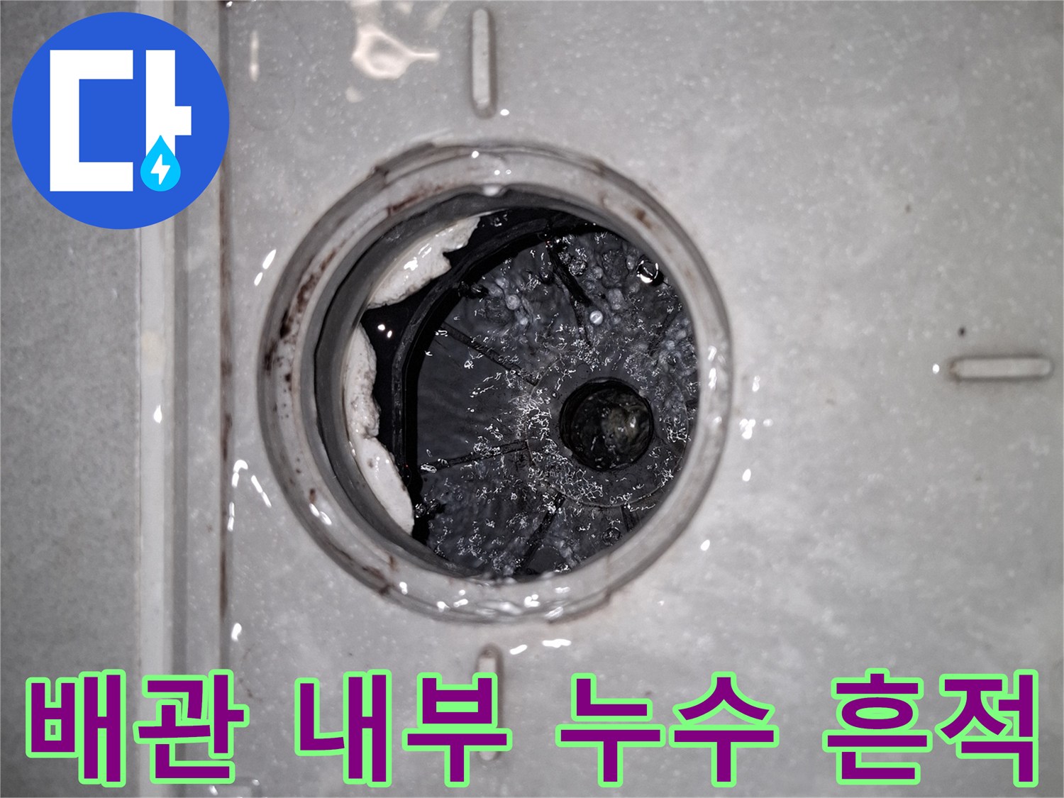 화장실 하수구 입구 - 배관 주변의 습한 상태