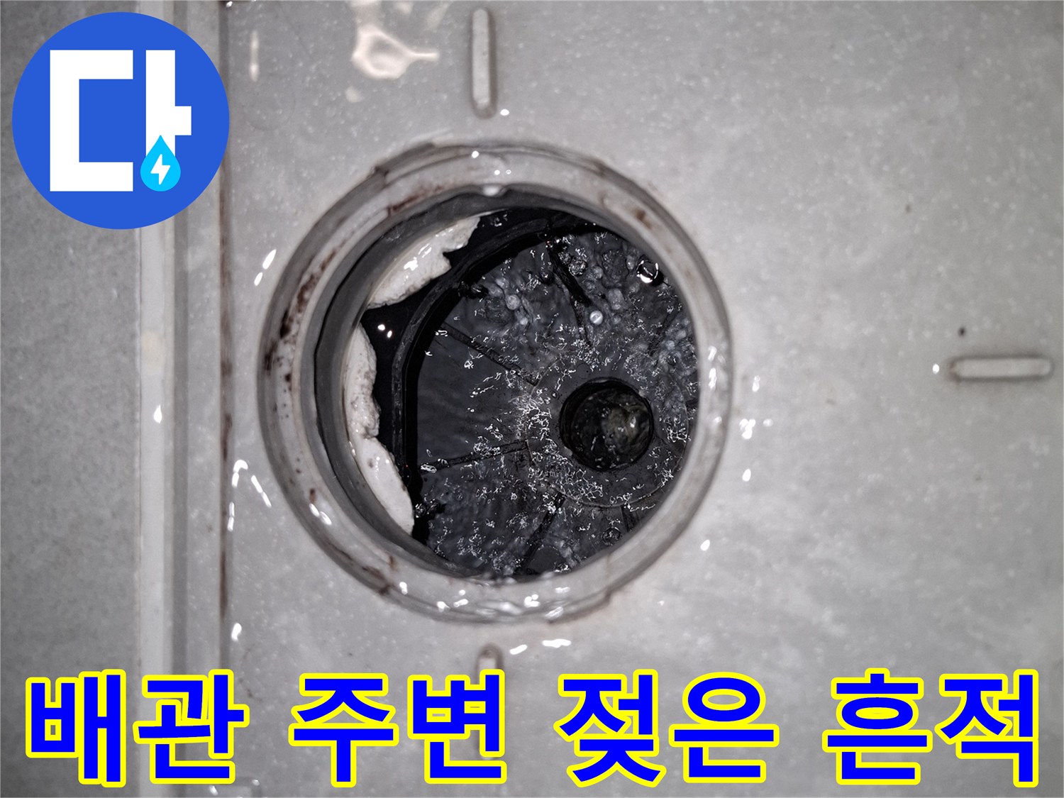 화장실-하수구-입구-주변의-습기-상태