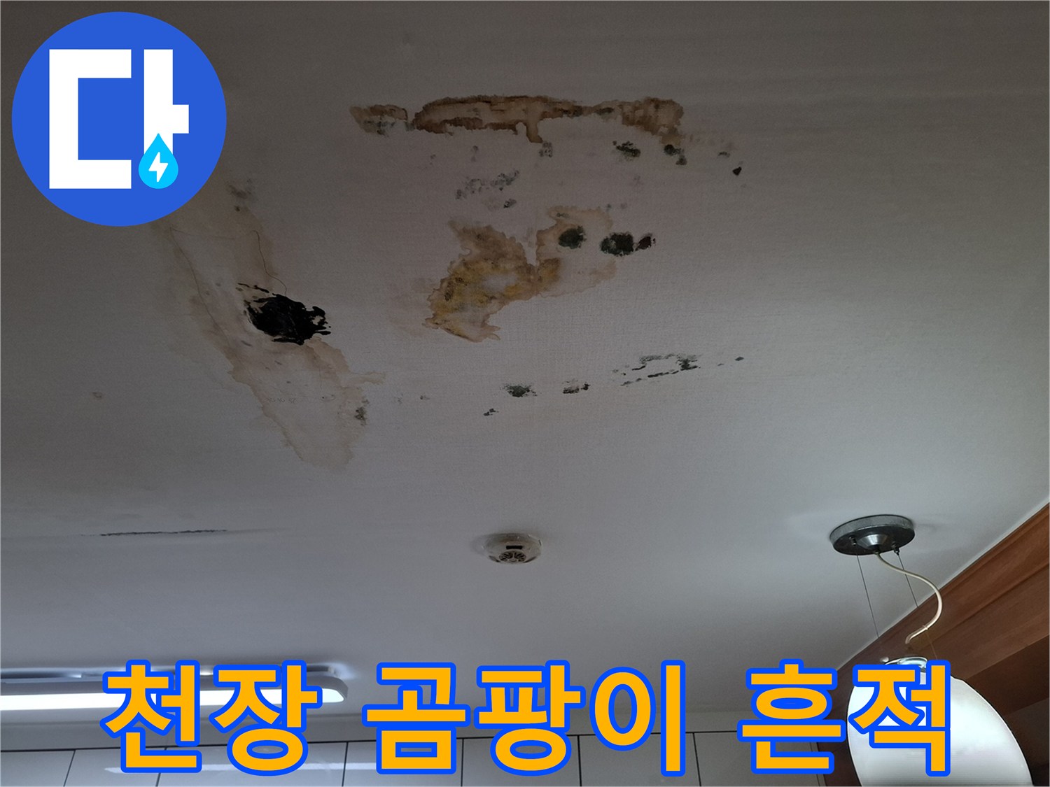 천장 마감재 부근의 검은 곰팡이와 침수 흔적 사진