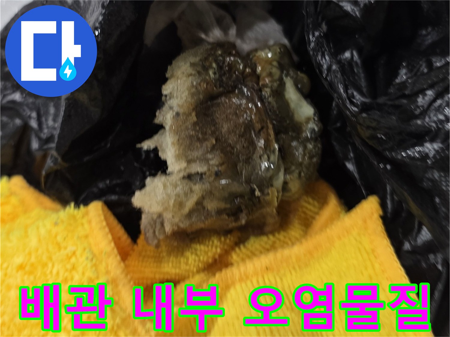 추출된-슬러지_덩어리와-비닐