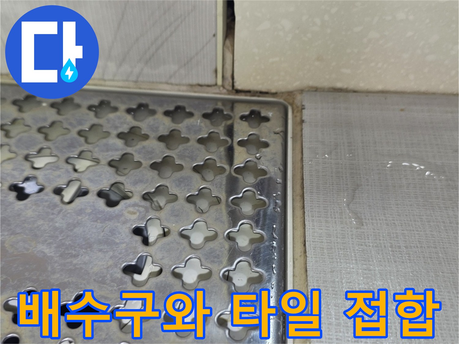 성동구-금호동-화장실-배수구-덮개-상태