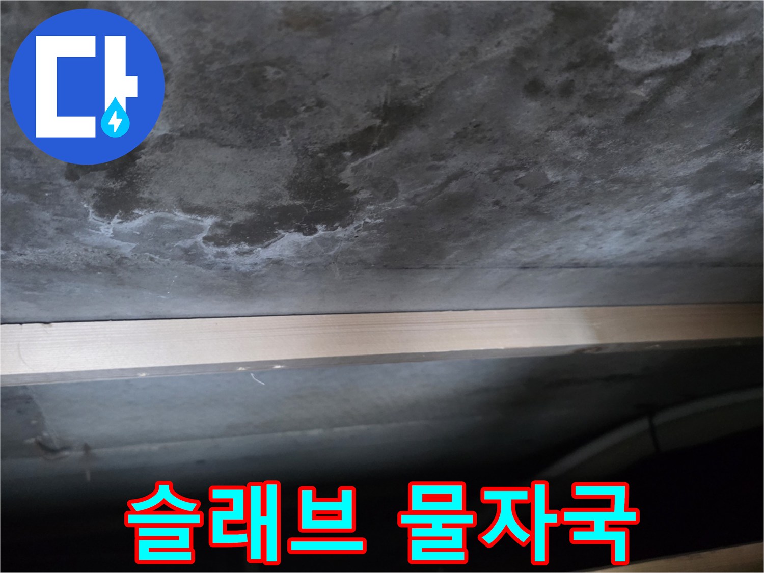 축축하게 젖어 있는 천장 슬래브의 누수 부위