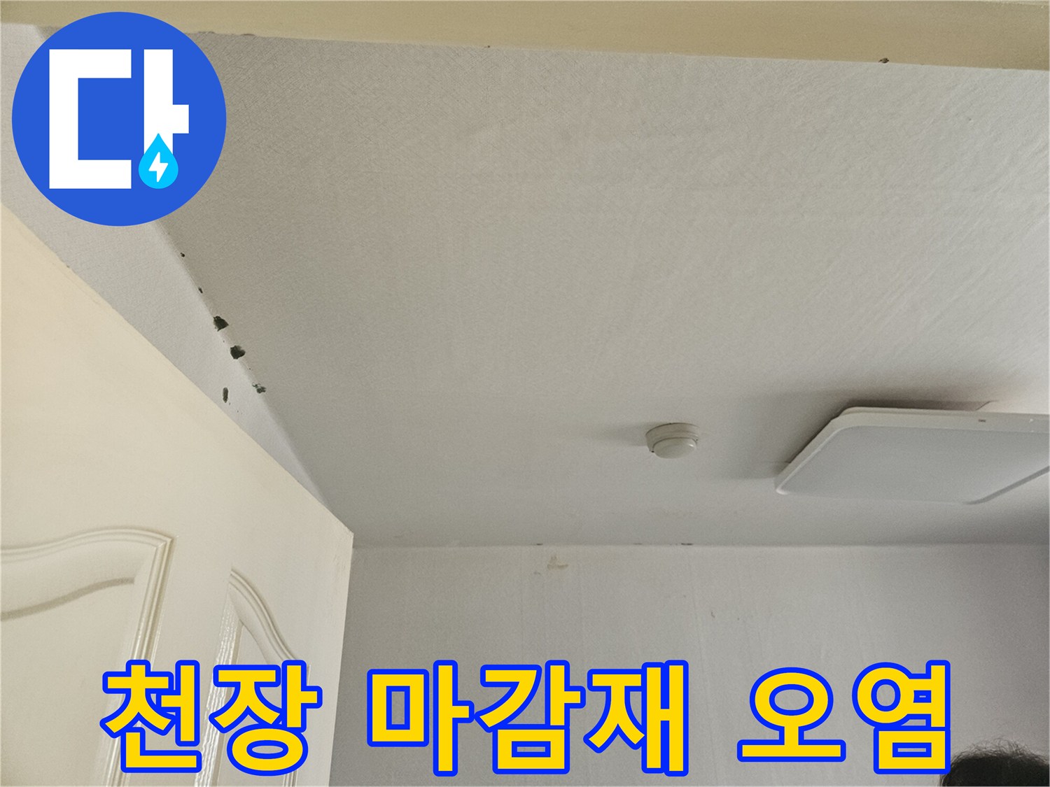 천장 도배지 경계면의 곰팡이와 변색 부위