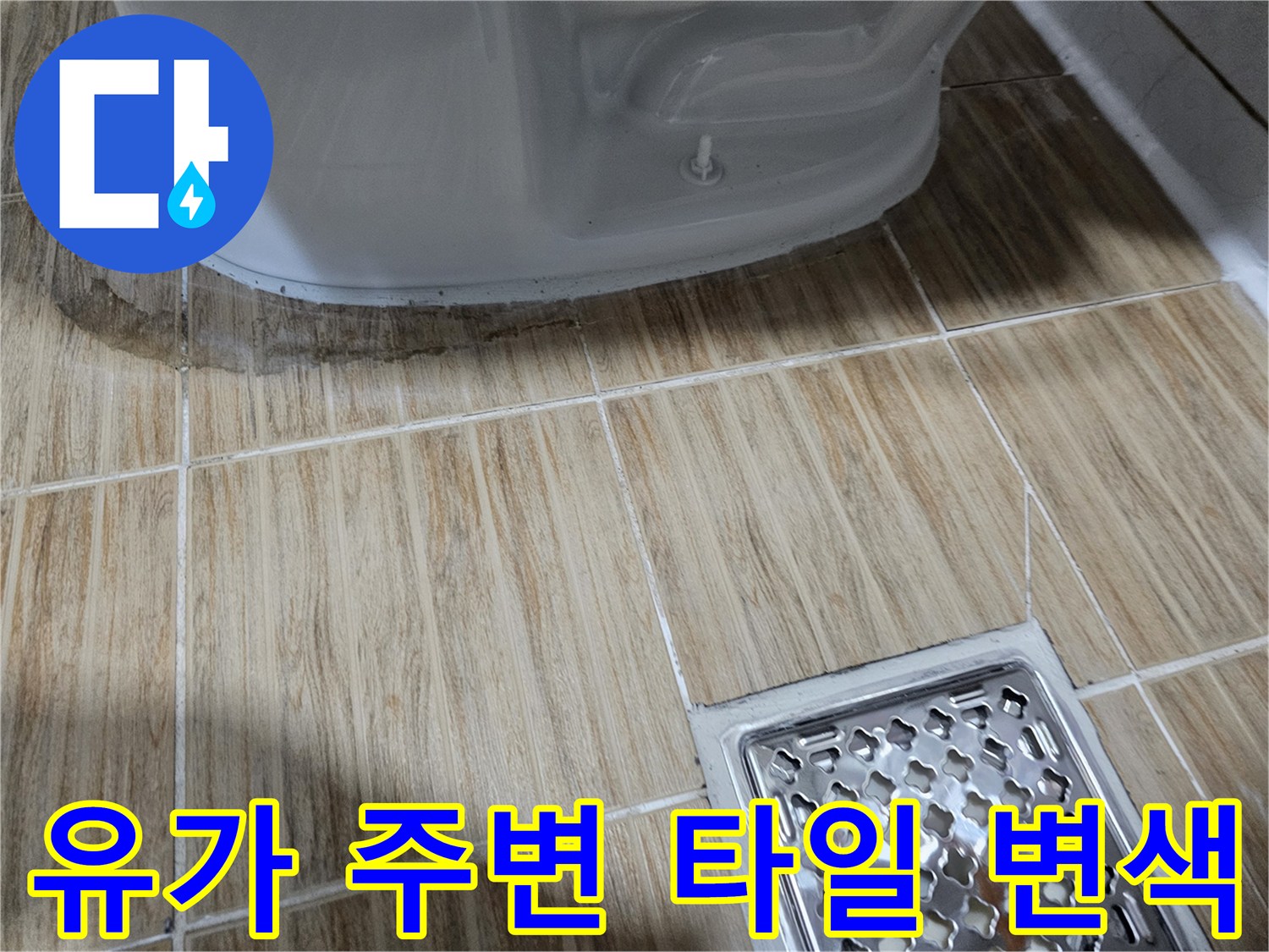 배수구 근처의 젖은 듯한 타일 표면