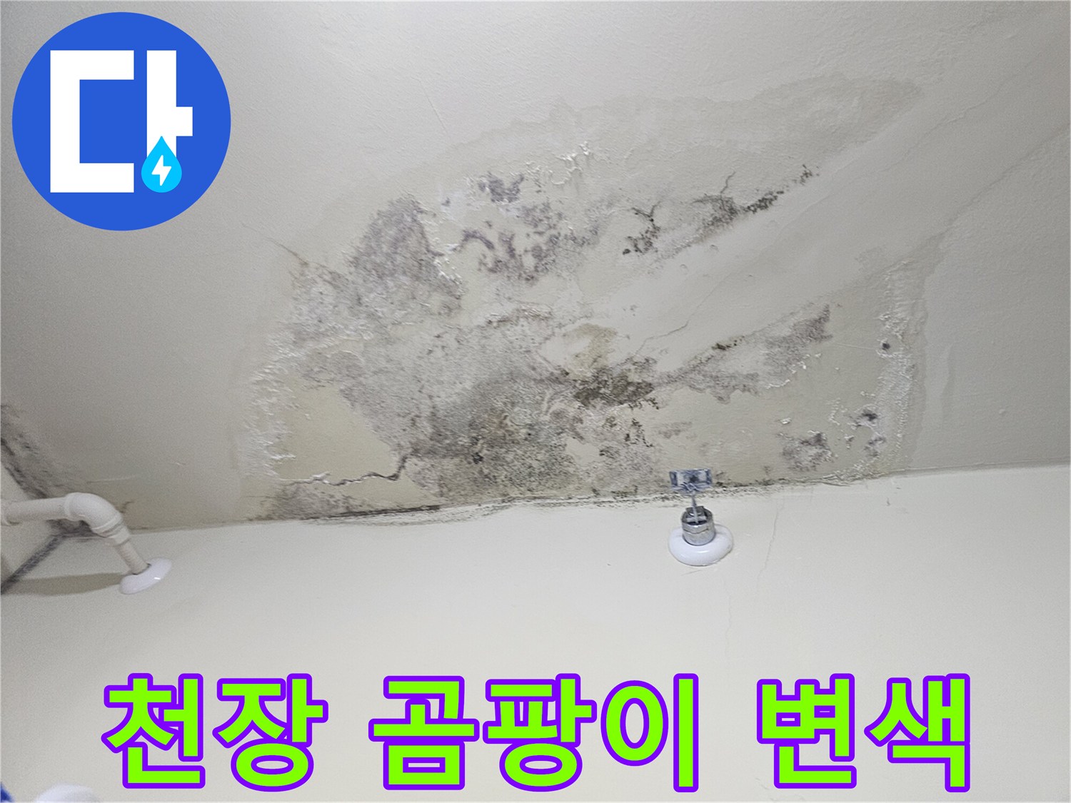 천장 마감재에 발생한-곰팡이와 습기 흔적