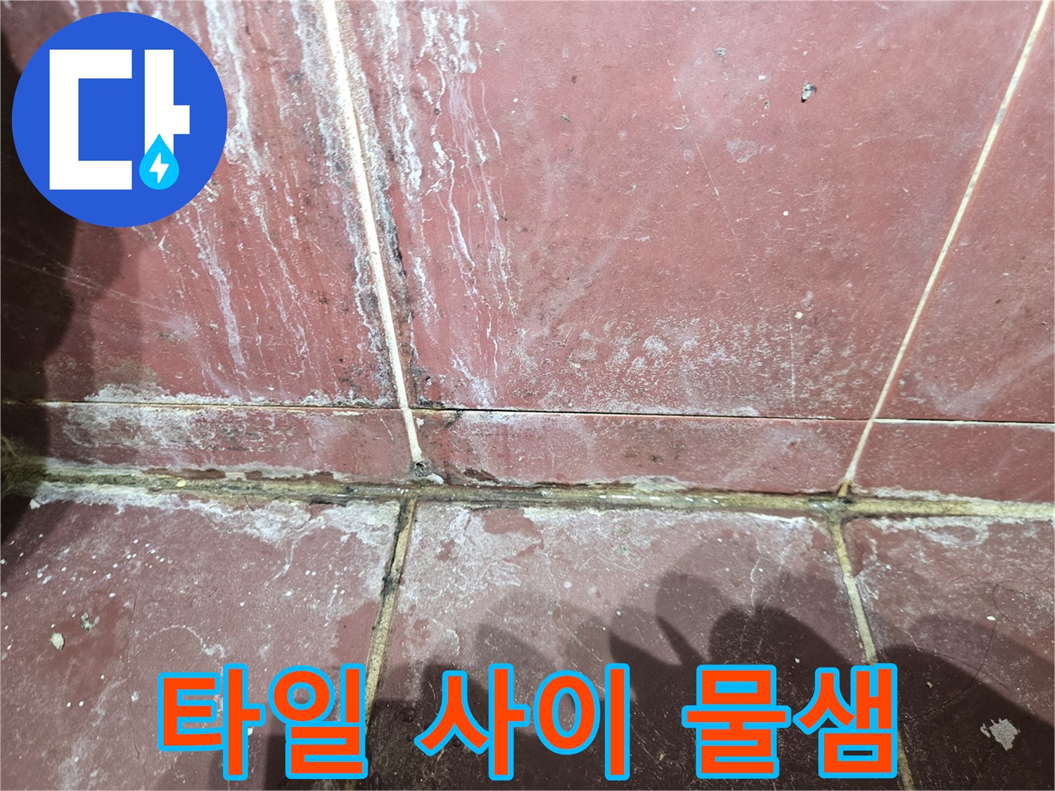 붉은-타일-사이의-하얀-물때와-백화 현상