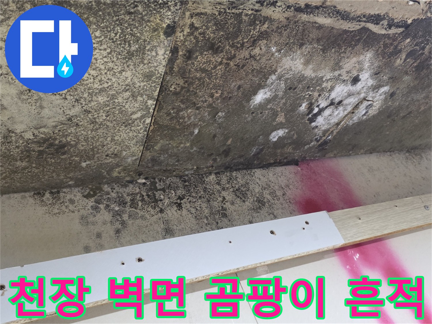 누수 피해로 인한-천장 마감재의 곰팡이 오염 부위