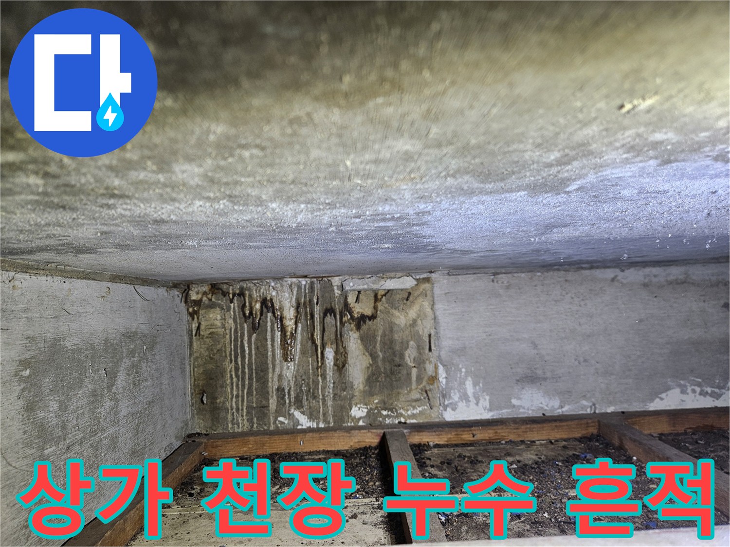 일산동구-상가-천장-물샘-자국-확인