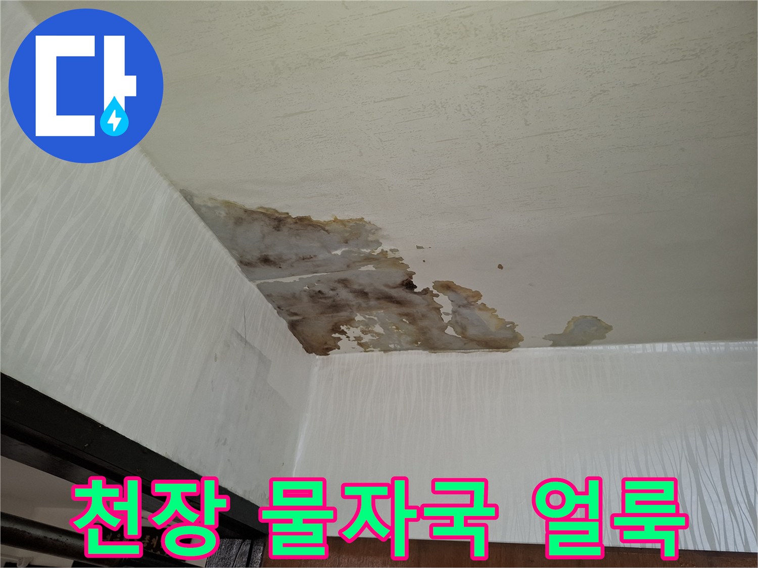 거실-천장-부근의-짙은-누수-얼룩