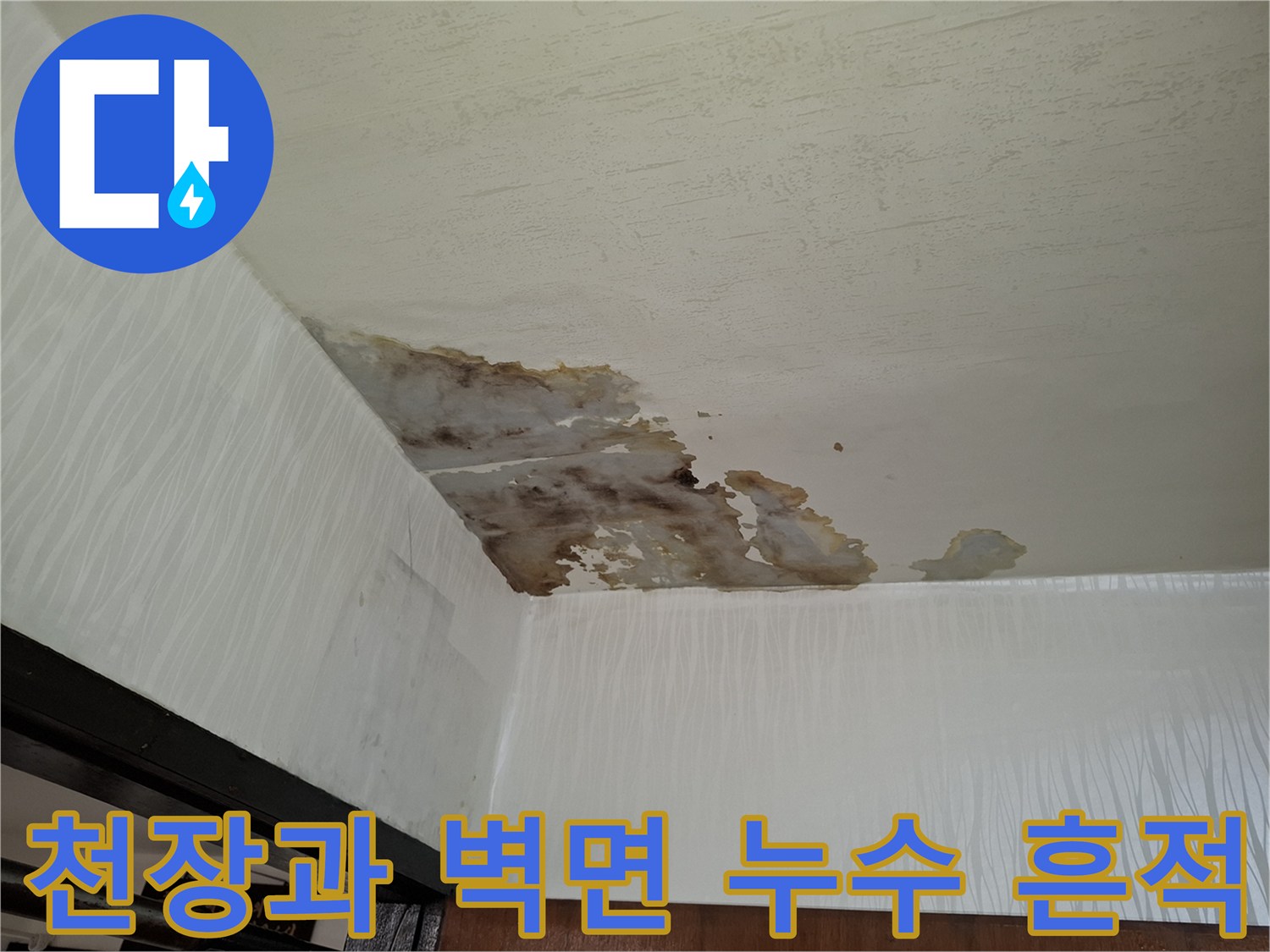 천장 모서리 부근의 심한 변색 상태