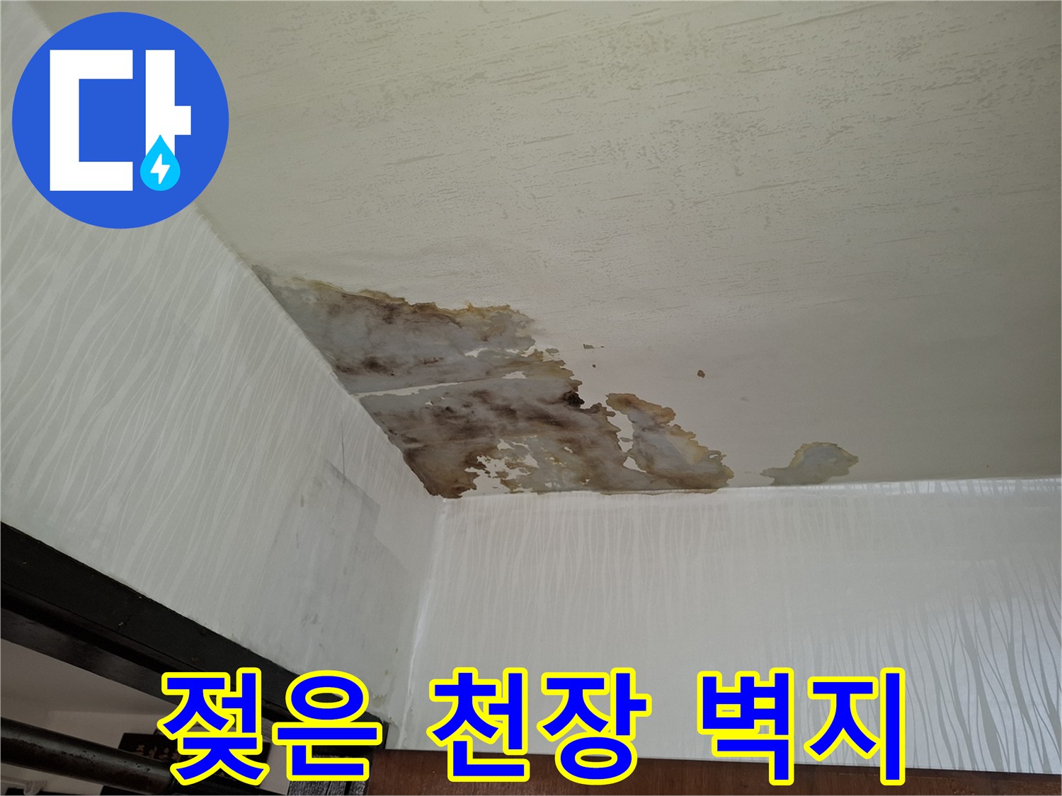 천장-벽지-물기-침투로-인한-변색-상태