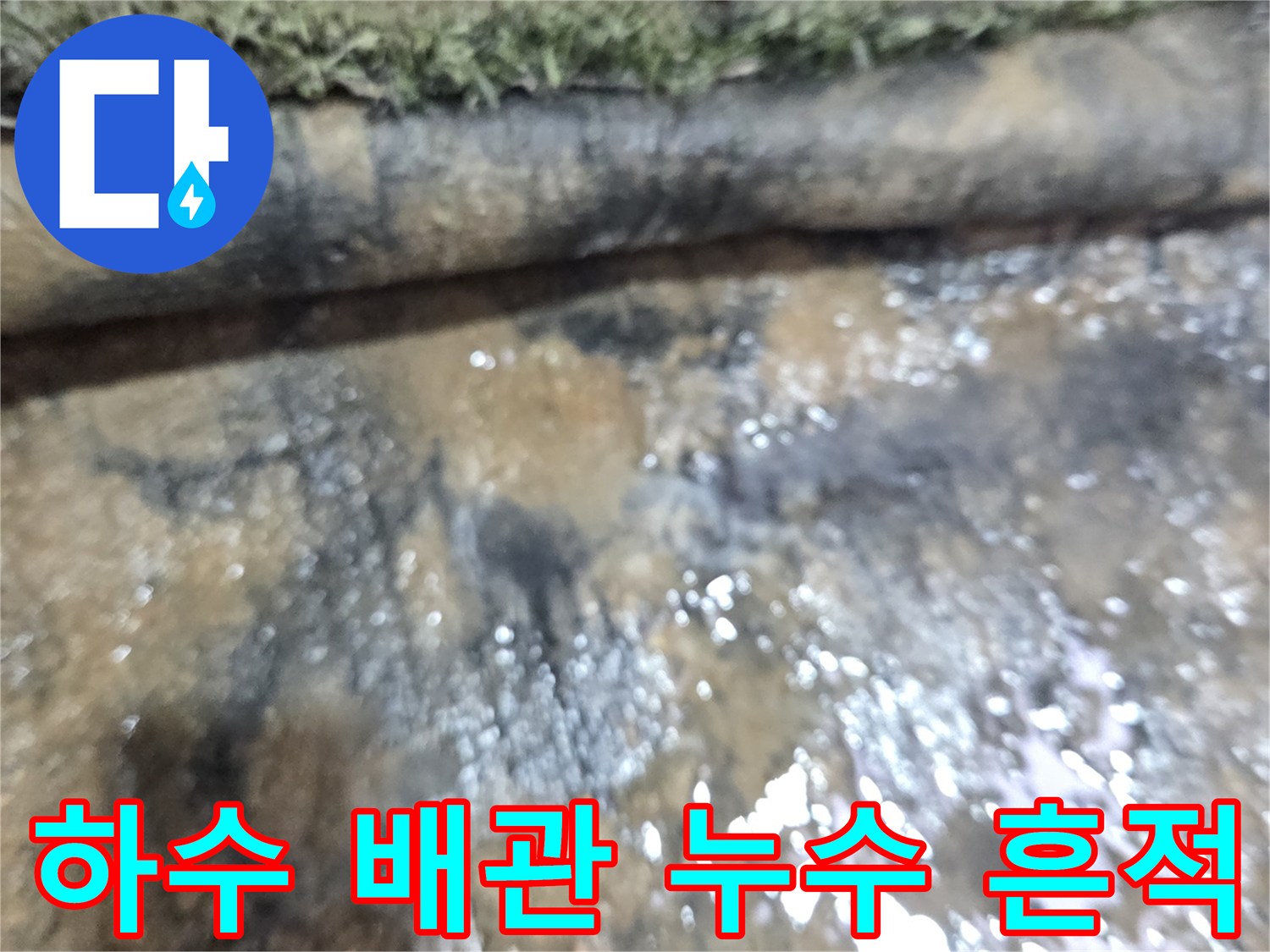 식당-바닥-하수-배관-누수-흔적-사진