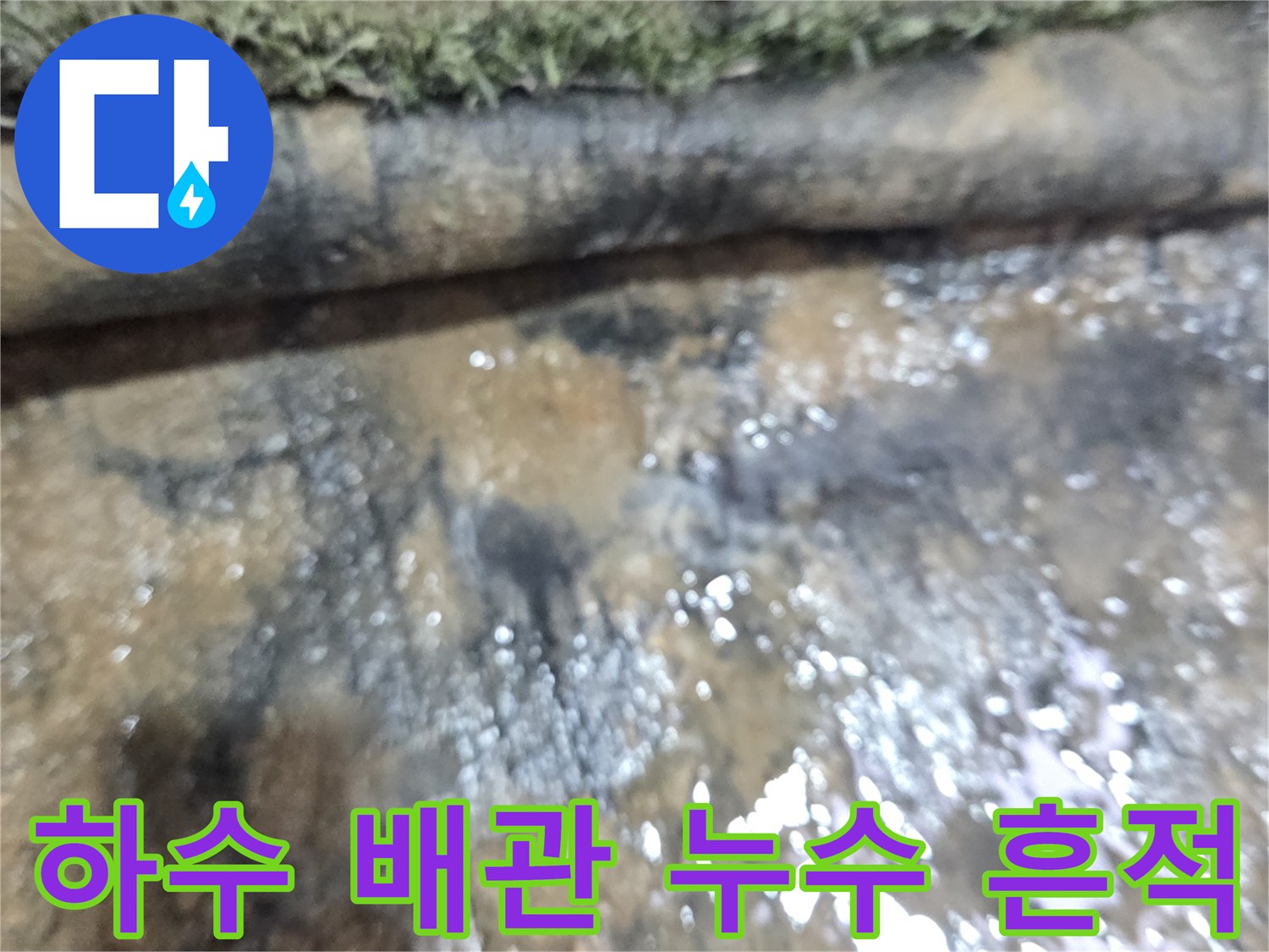식당-하수-배관-주변의-습기와-누수-흔적