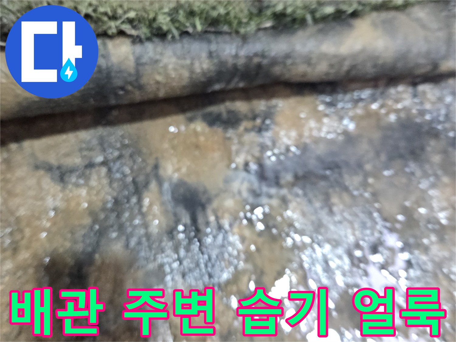 젖은-바닥-및-배관-연결부-상태